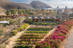 Sustainability in Los Cabos: Eco-Friendly Travel