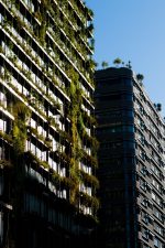 Sustainable Luxury in Hospitality: A New Standard for Modern Travel
